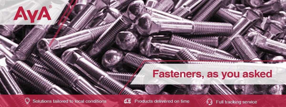 Stainless Steel Round Head Bolts